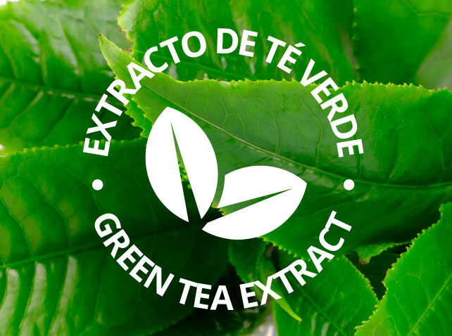  Imagen representativa ingrediente Té Verde