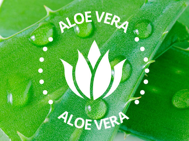  Imagen representativa ingrediente Aloe Vera